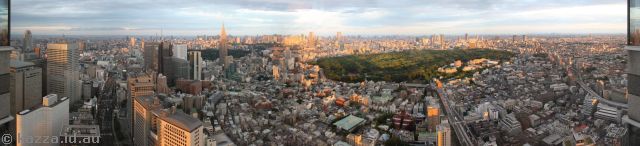 View from our room at the Park Hyatt Hotel